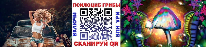 Купить  Кувандык  Галлюциногенные грибы MAGIC MUSHROOMS 