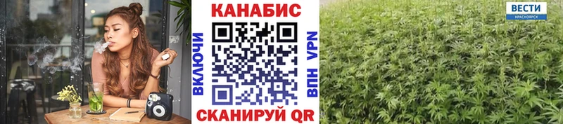 Каннабис Amnesia  Купить закладки  Кувандык 